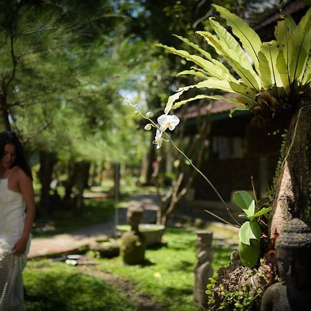Taman Nauli Boutique Rooms Canggu Dış mekan fotoğraf