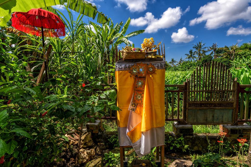 Taman Nauli Boutique Rooms Canggu Dış mekan fotoğraf