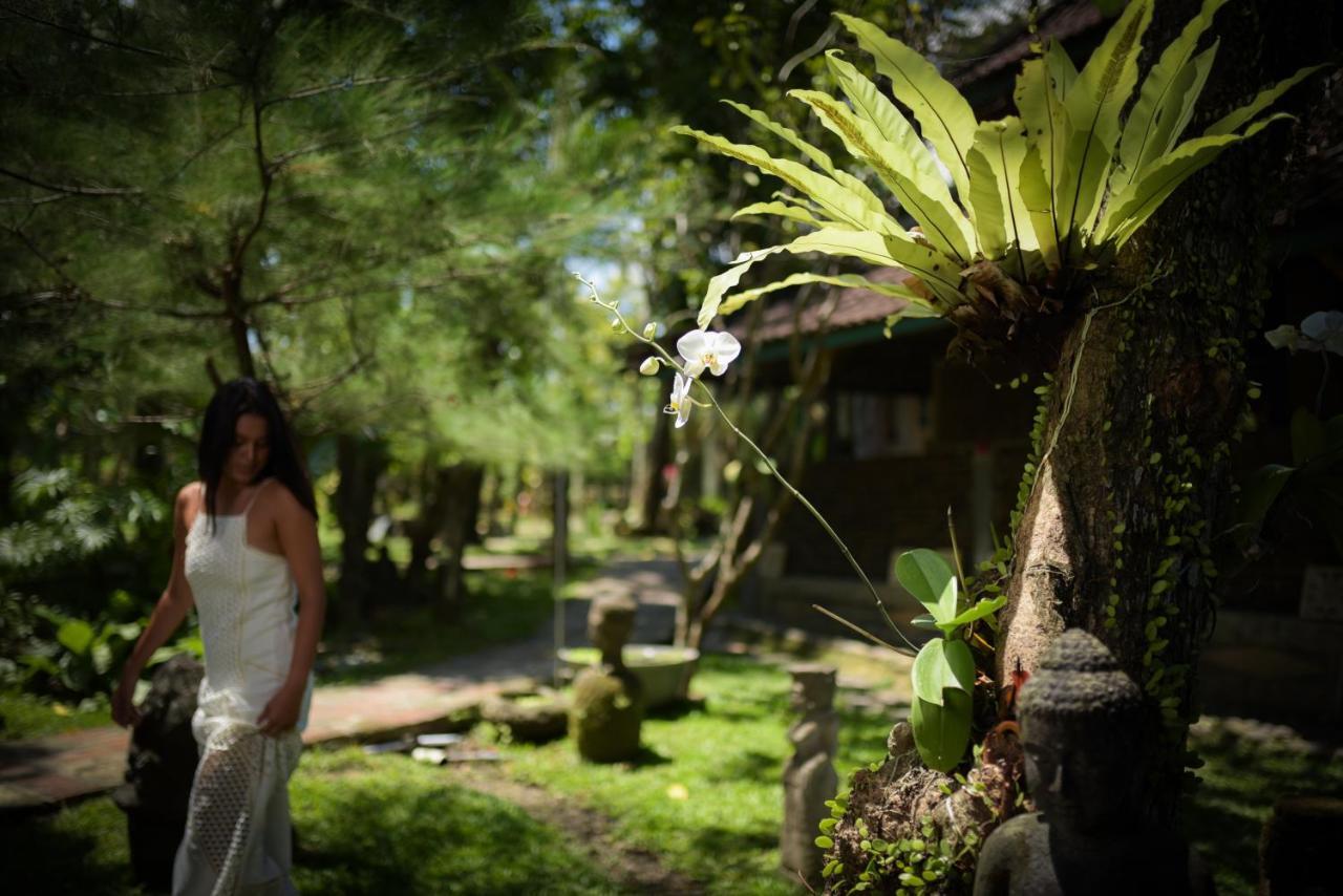Taman Nauli Boutique Rooms Canggu Dış mekan fotoğraf